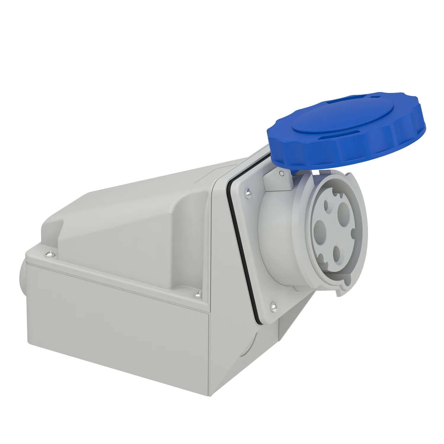 Schneider 81178 - 81178 - 3x63A, monofaze, 2P+T, IP67, VİDALI, Duvar Prizi