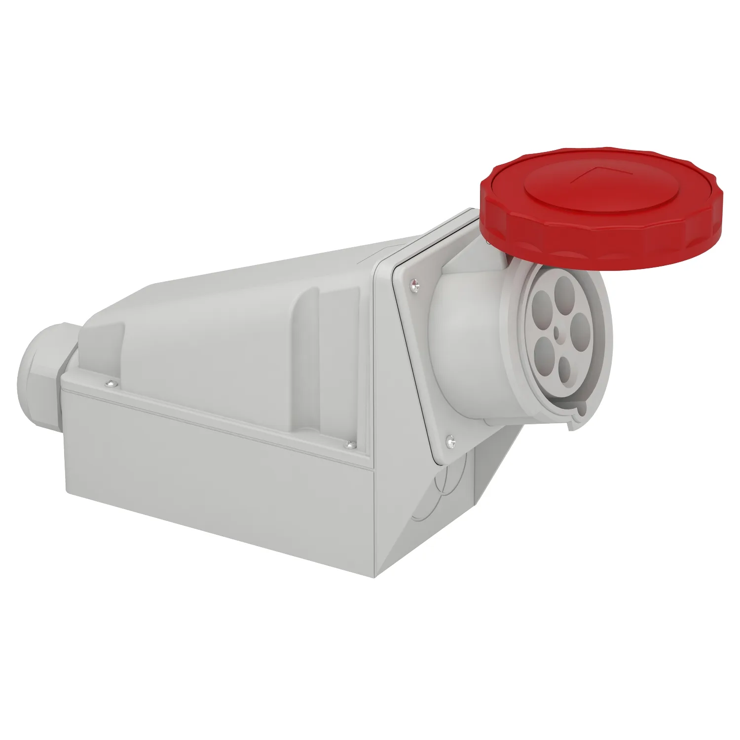Schneider 81195 - 81195 - 5x125A, trifaze, 3P+N+T, IP67, VİDALI, Duvar Prizi