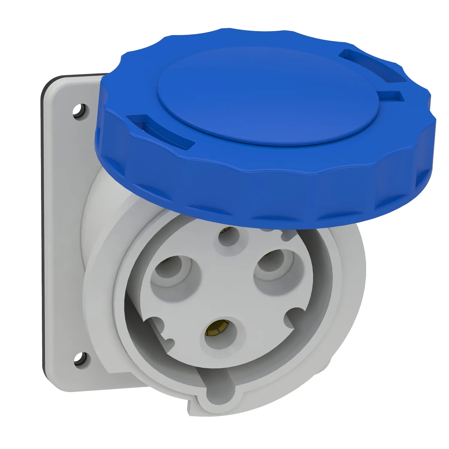 Schneider 81278 - 81278 - 3x63A, monofaze, 2P+T, IP67, VİDALI, Eğik makina prizi