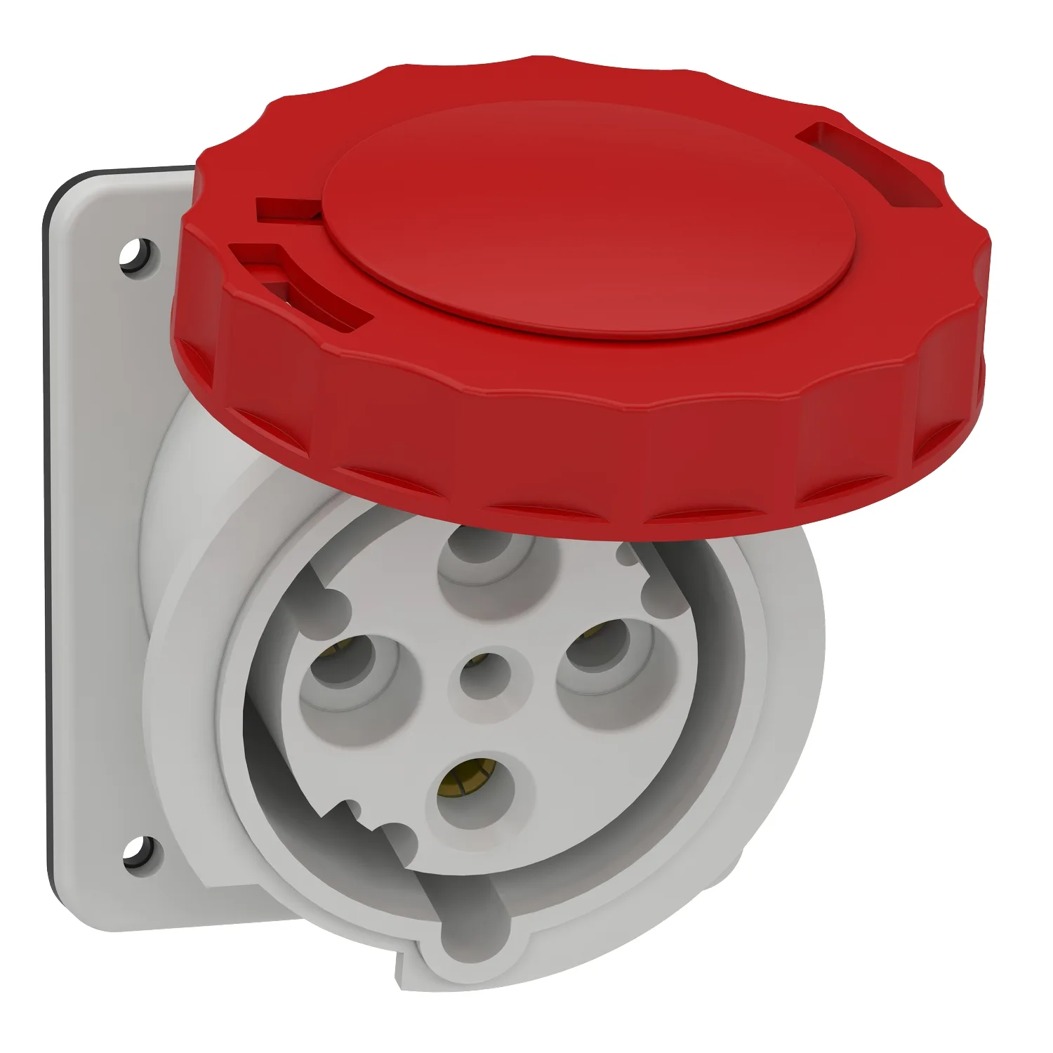 Schneider 81282 - 81282 - 4x63A, trifaze, 3P+T, IP67, VİDALI, Eğik Makine Prizi