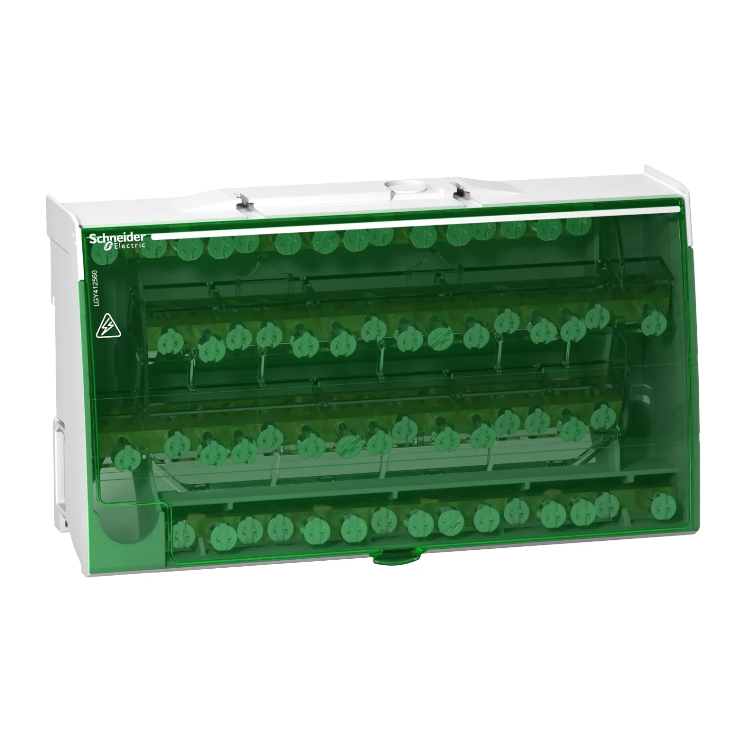 Schneider LGY412560 - Vidalı Dağıtım Kutusu 4P 125A 60 Delikli