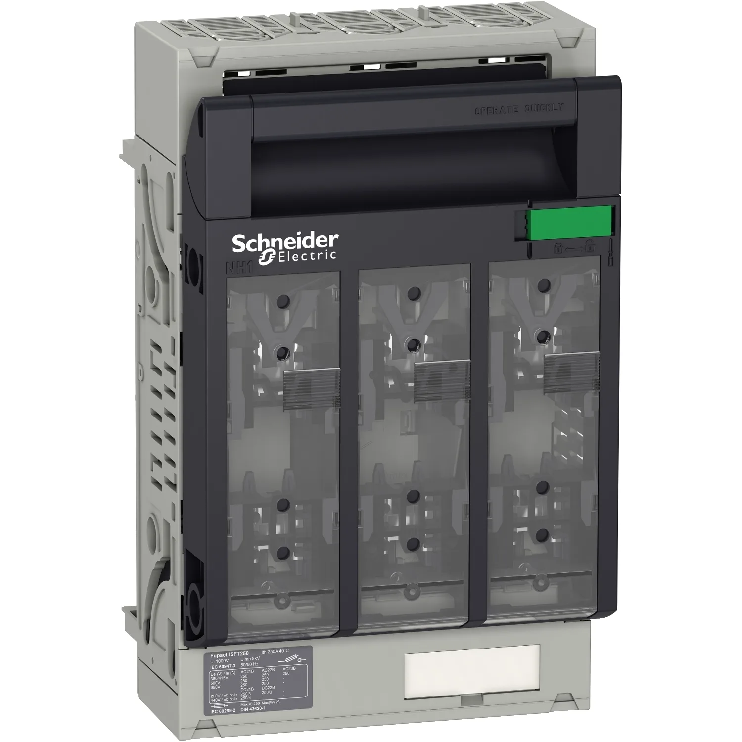 Schneider LV480805 - LV480805 - ISFT250 FUSE-SWITCH hook 60MM M10 TERM