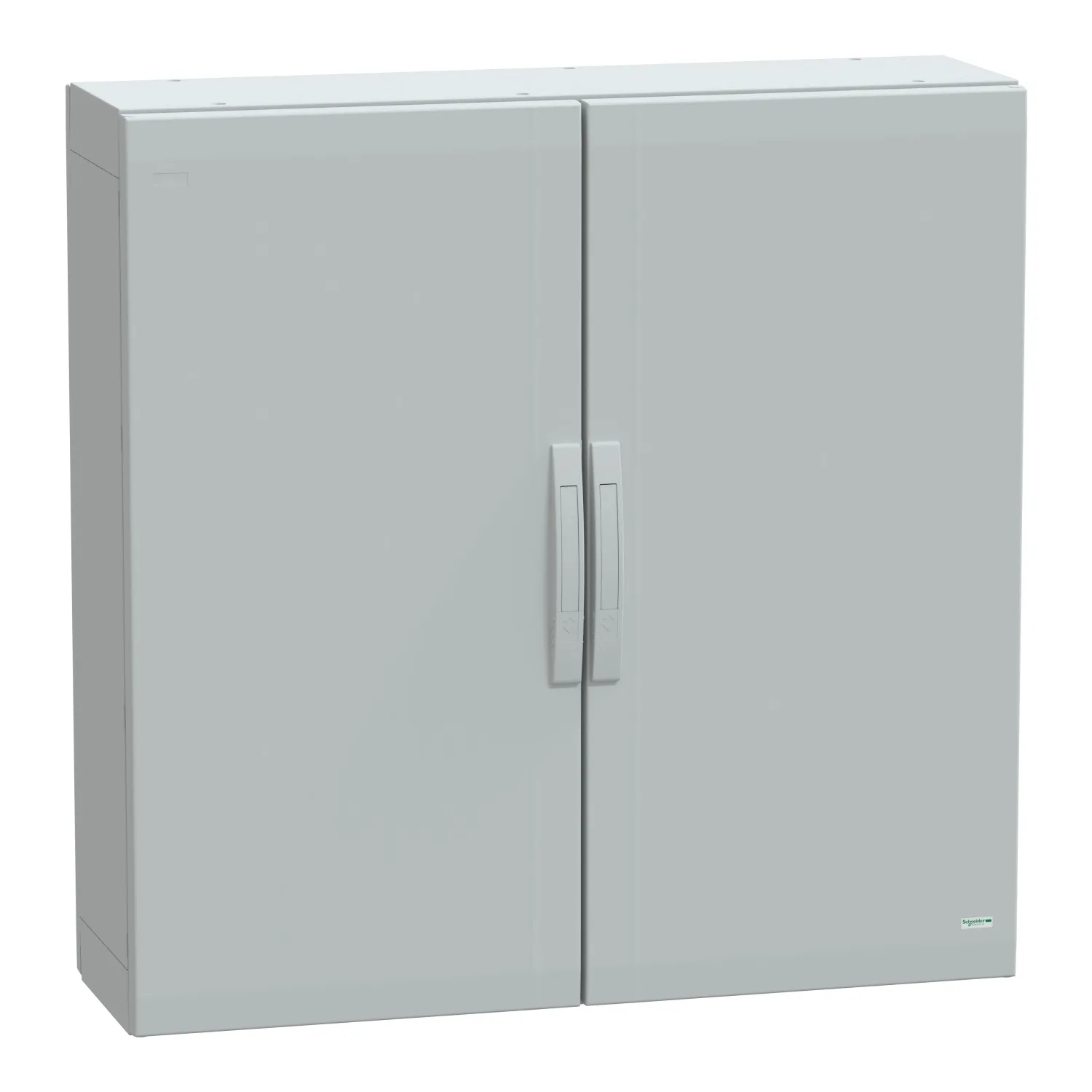 Schneider NSYPLA10103G - NSYPLA10103G - 7035 FS polyester 1000x1000x320