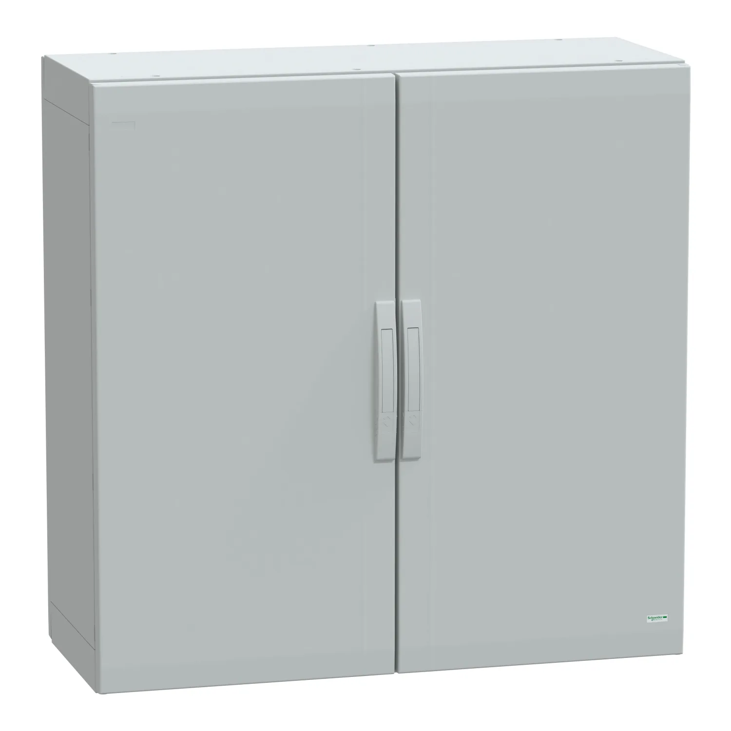 Schneider NSYPLA10104G - NSYPLA10104G - 7035 FS polyester 1000x1000x420