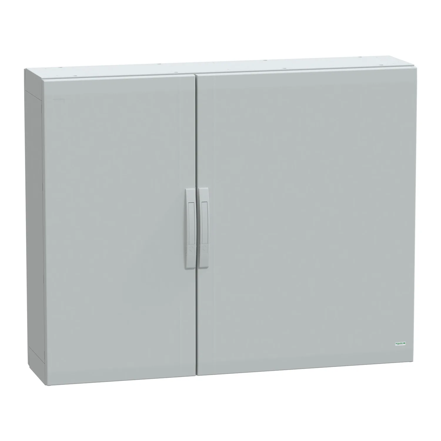 Schneider NSYPLA10123G - NSYPLA10123G - 7035 FS polyester 1000x1250x320