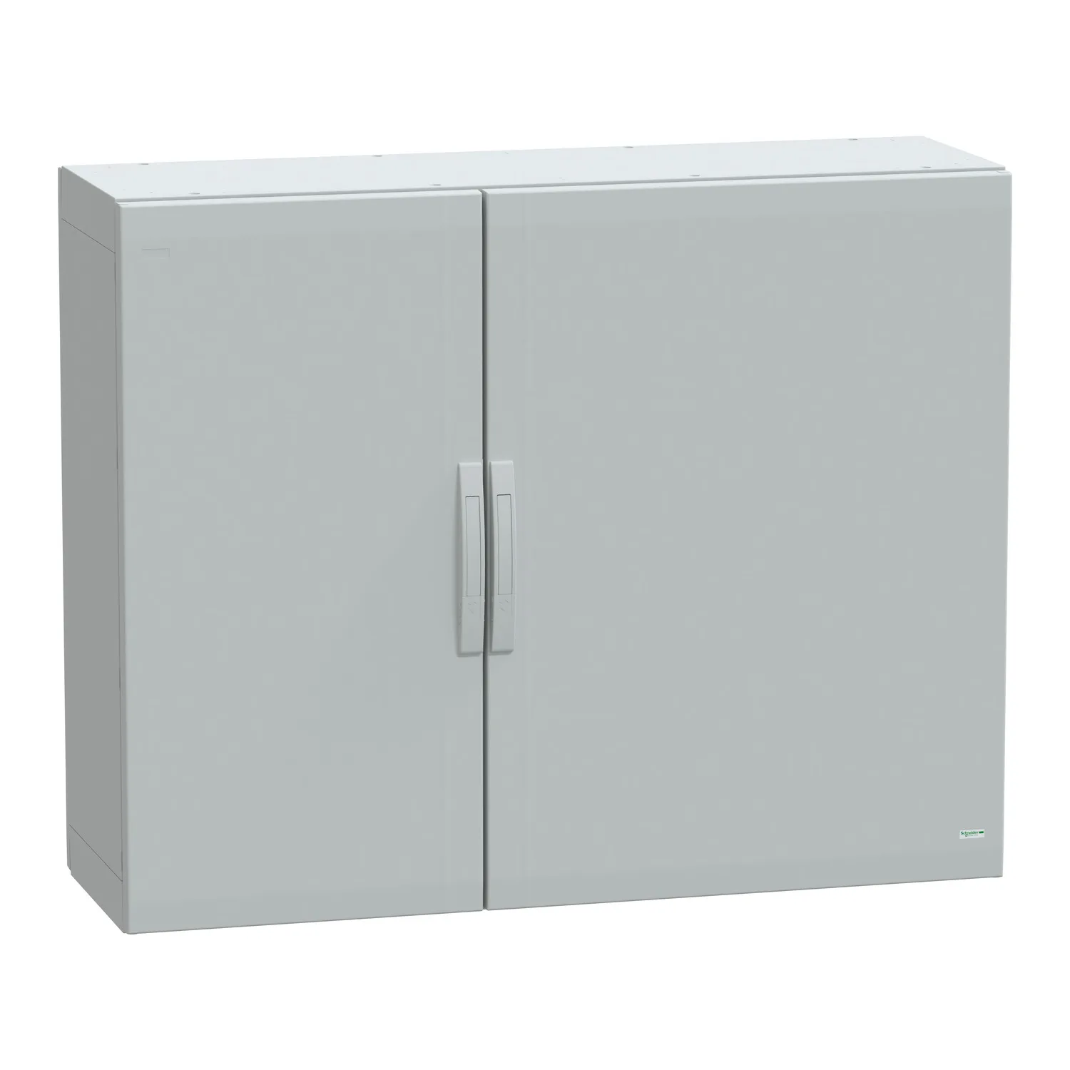 Schneider NSYPLA10124G - NSYPLA10124G - 7035 FS polyester 1000x1250x420