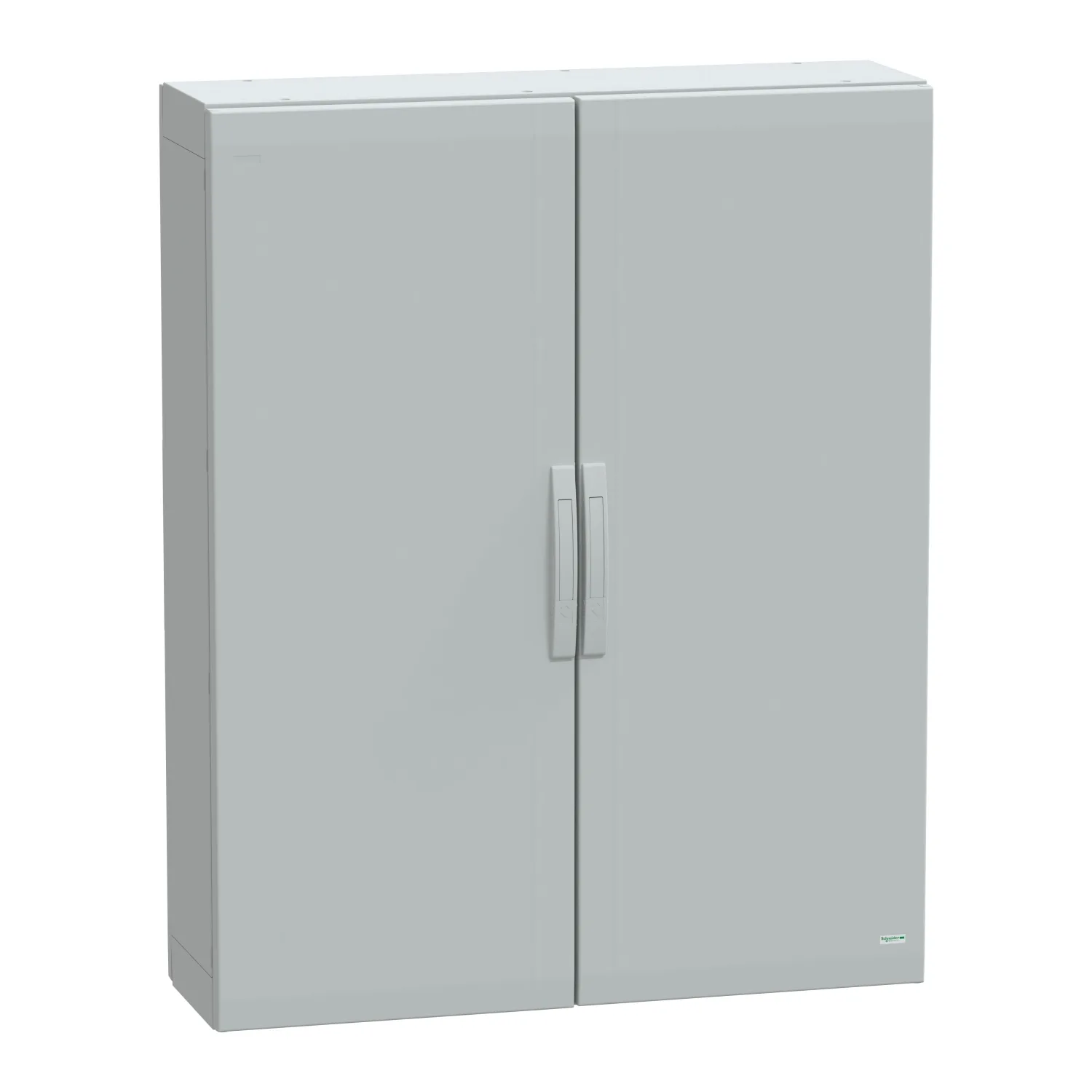 Schneider NSYPLA12103G - NSYPLA12103G - 7035 FS polyester 1250x1000x320