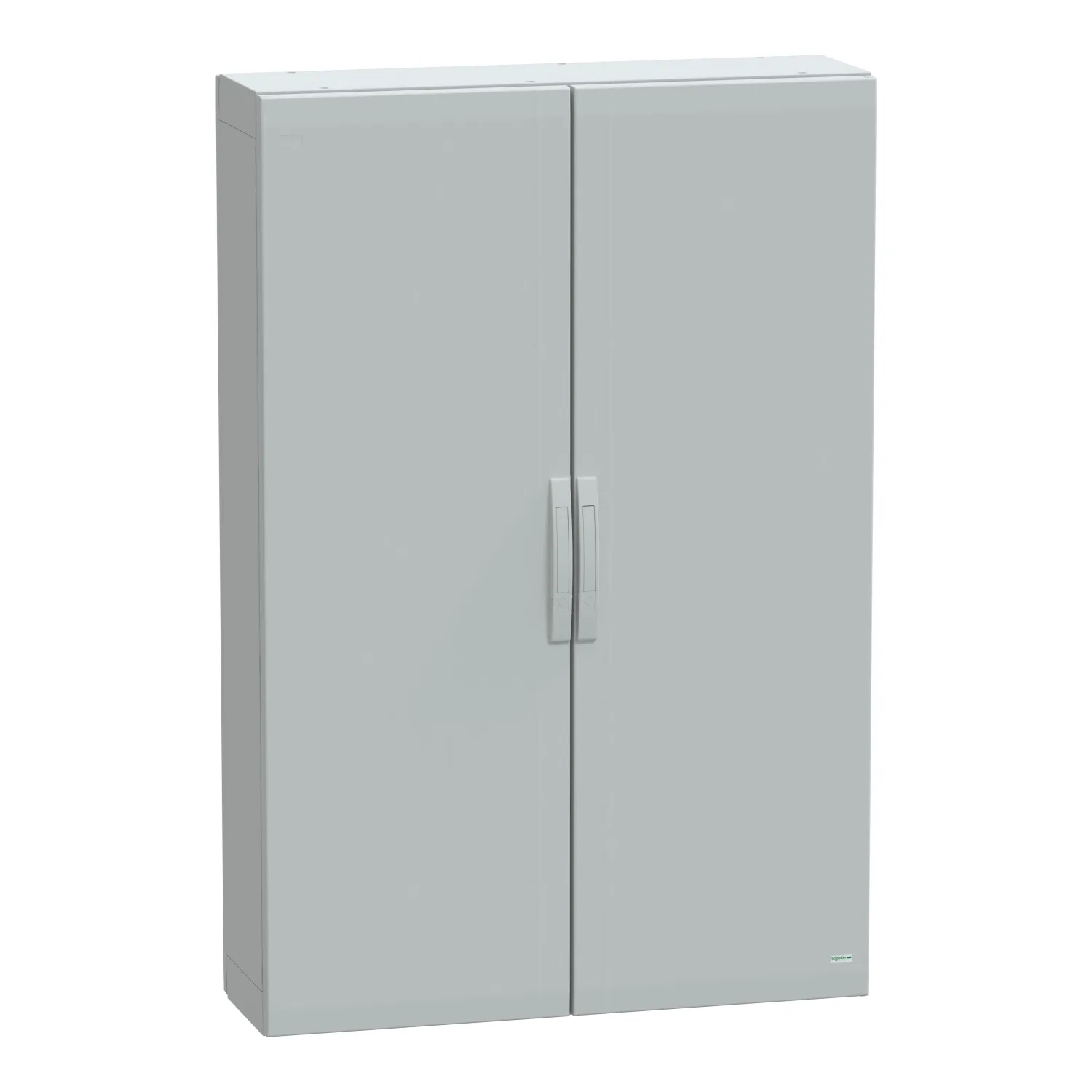 Schneider NSYPLA15103G - NSYPLA15103G - 7035 FS polyester 1500x1000x320