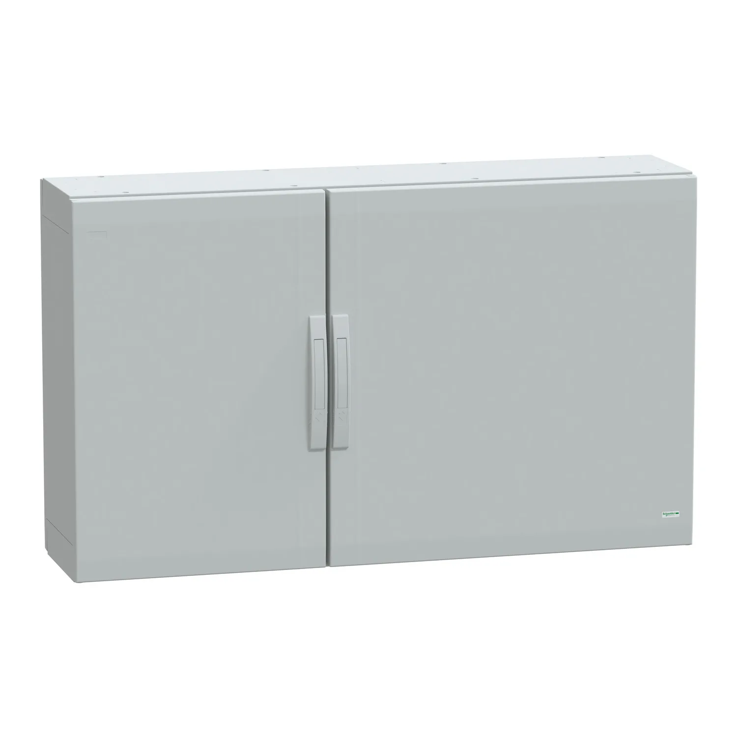 Schneider NSYPLA7123G - NSYPLA7123G - 7035 FS polyester 750x1250x320