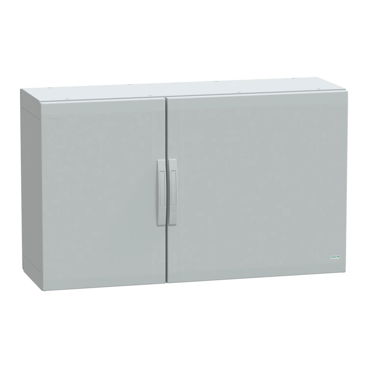 Schneider NSYPLA7124G - 7035 FS polyester 750x1250x420
