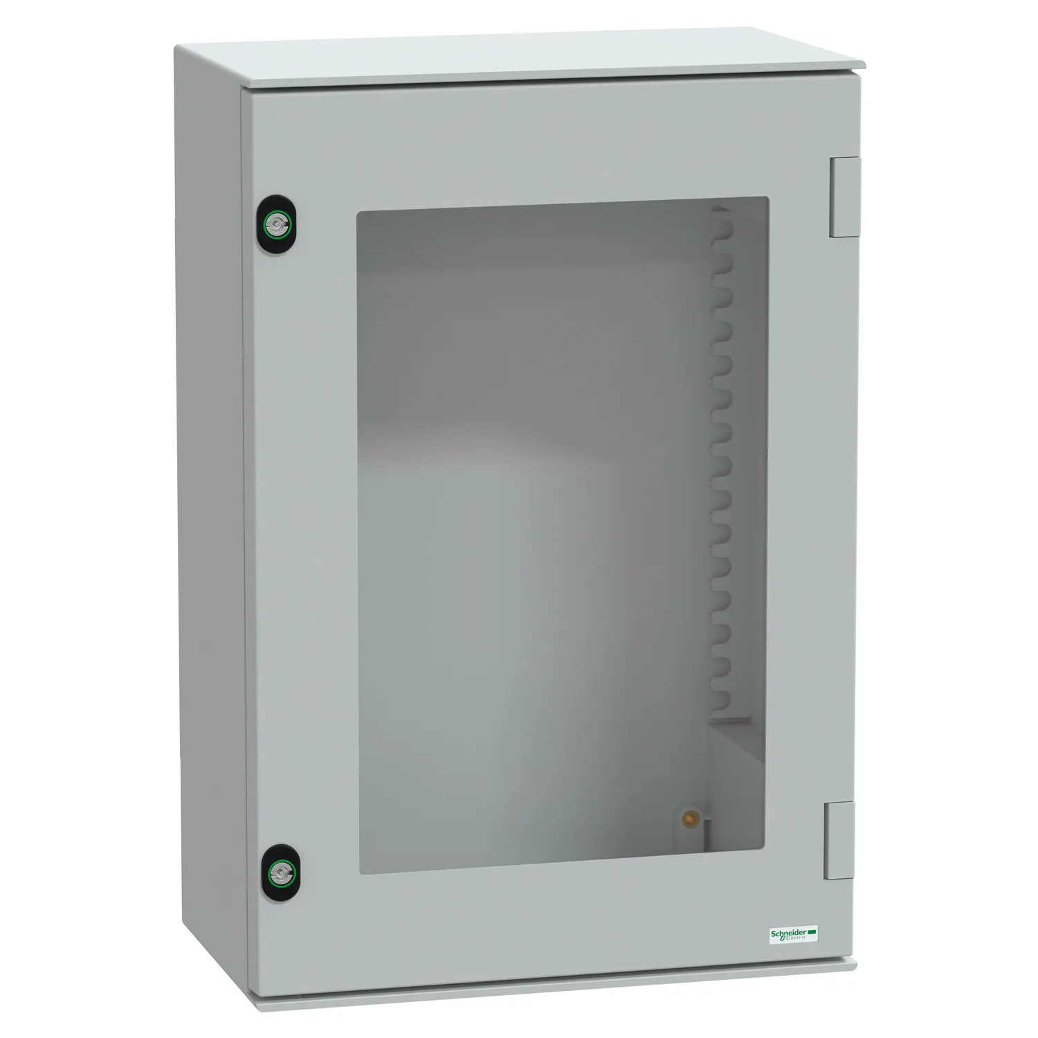 Schneider NSYPLM64TG - NSYPLM64TG - 7035 WM polyester PLM647x436x250 camlı