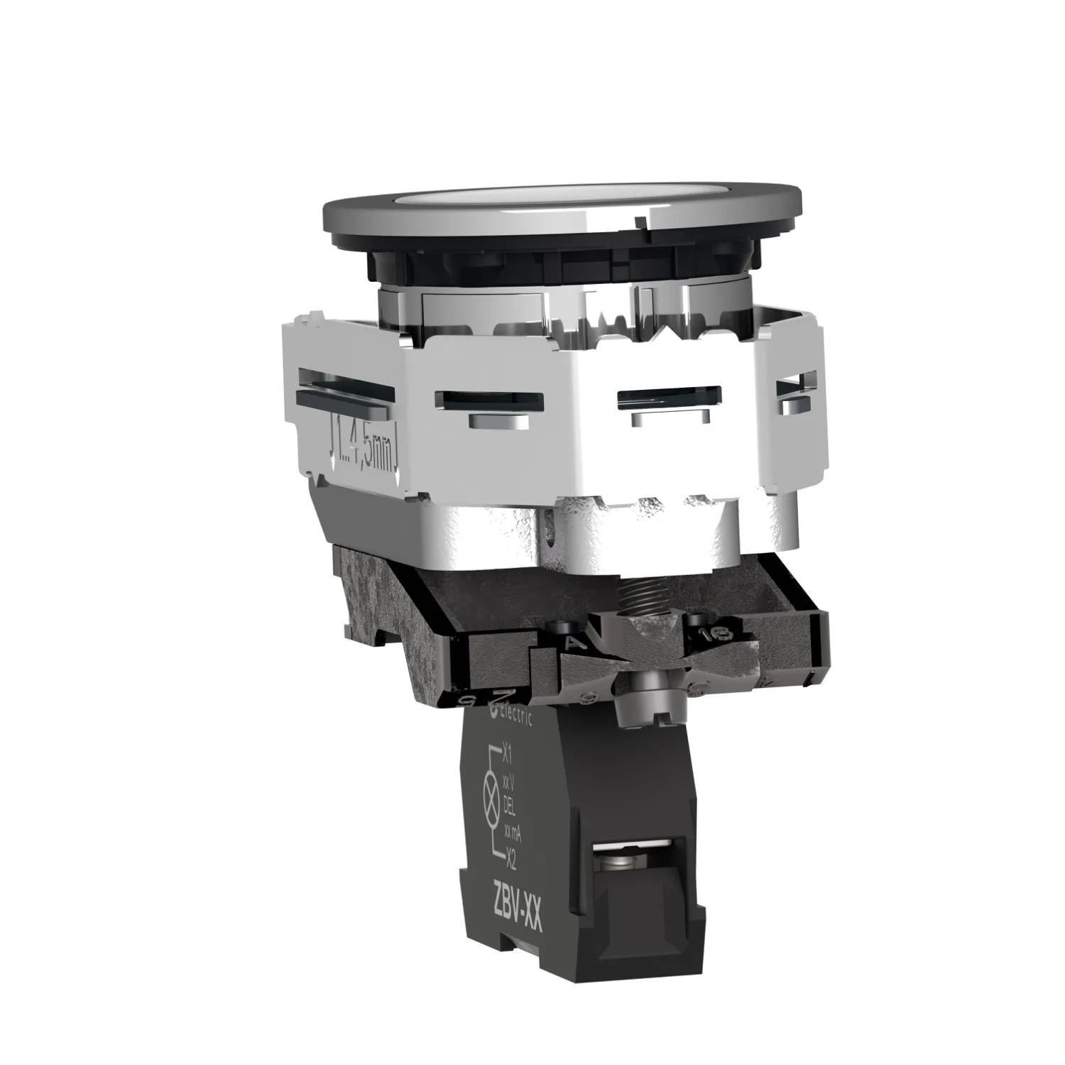 Leuchtmelder, Harmony XB4F, Metall, 30mm, weiß, universelle LED, glatte Kalotte, Schraubklemme, 24V ACDC - 3