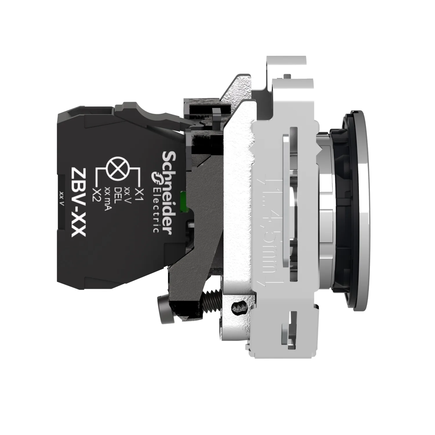 Leuchtmelder, Harmony XB4F, Metall, 30mm, weiß, universelle LED, glatte Kalotte, Schraubklemme, 24V ACDC - 5