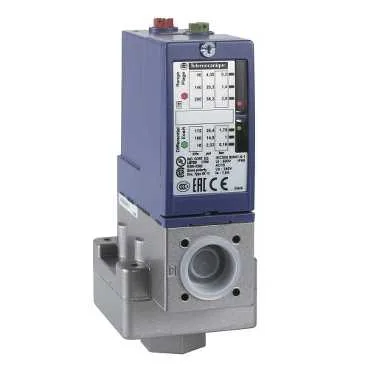 Telemecanique Sensors XMLB004A2S11 - Basınç şalteri, XMLB, basınç aralığı 4 bar, ayarlanabilir ölçekli, 1CO, 2 eşik