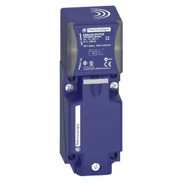 Telemecanique Sensors XS9C4A2A2G13 - Endüktif sensör, XS9, 40x40x117 mm, PBT, Sn 25 mm, klemensler, 12...24 VDC