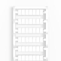 1906000000 - WS 12/8 PLUS MC NE WS